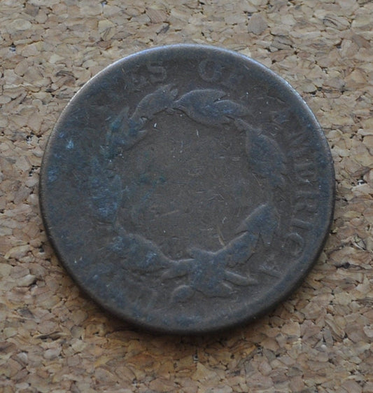 1819 Matron Head Large Cent - AG (About Good) Condition / Grade - US Large Cent - 1819 Coronet Liberty Head Cent - 1819 Large Date Variety