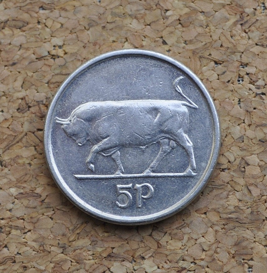 1960s through 1990's Irish 5 Pence Coin - Great Condition - Five Pence Coin Ireland / UK - Bull Design Irish Coins - Erie