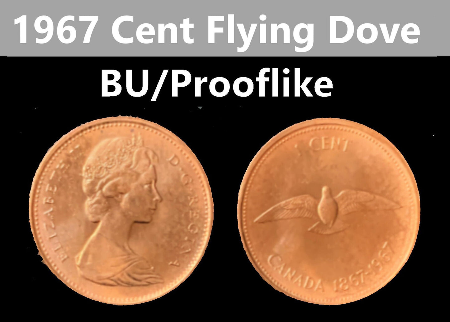 1967 Canadian Cent - Excellent Condition - Commemorative Cent