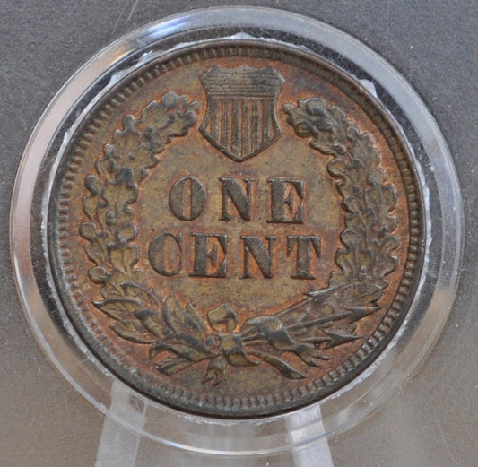 1901 Indian Head Penny - AU (About Uncirculated) Grade / Condition - Great Detail 1901 Indian Head Cent 1901 Penny, High Grade, Mint Luster