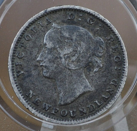 1880 Newfoundland Silver 5 Cent Coin - F (Fine) Grade / Condition - Queen Victoria - 5 Cents Newfoundland 1880 Silver - Low Mintage
