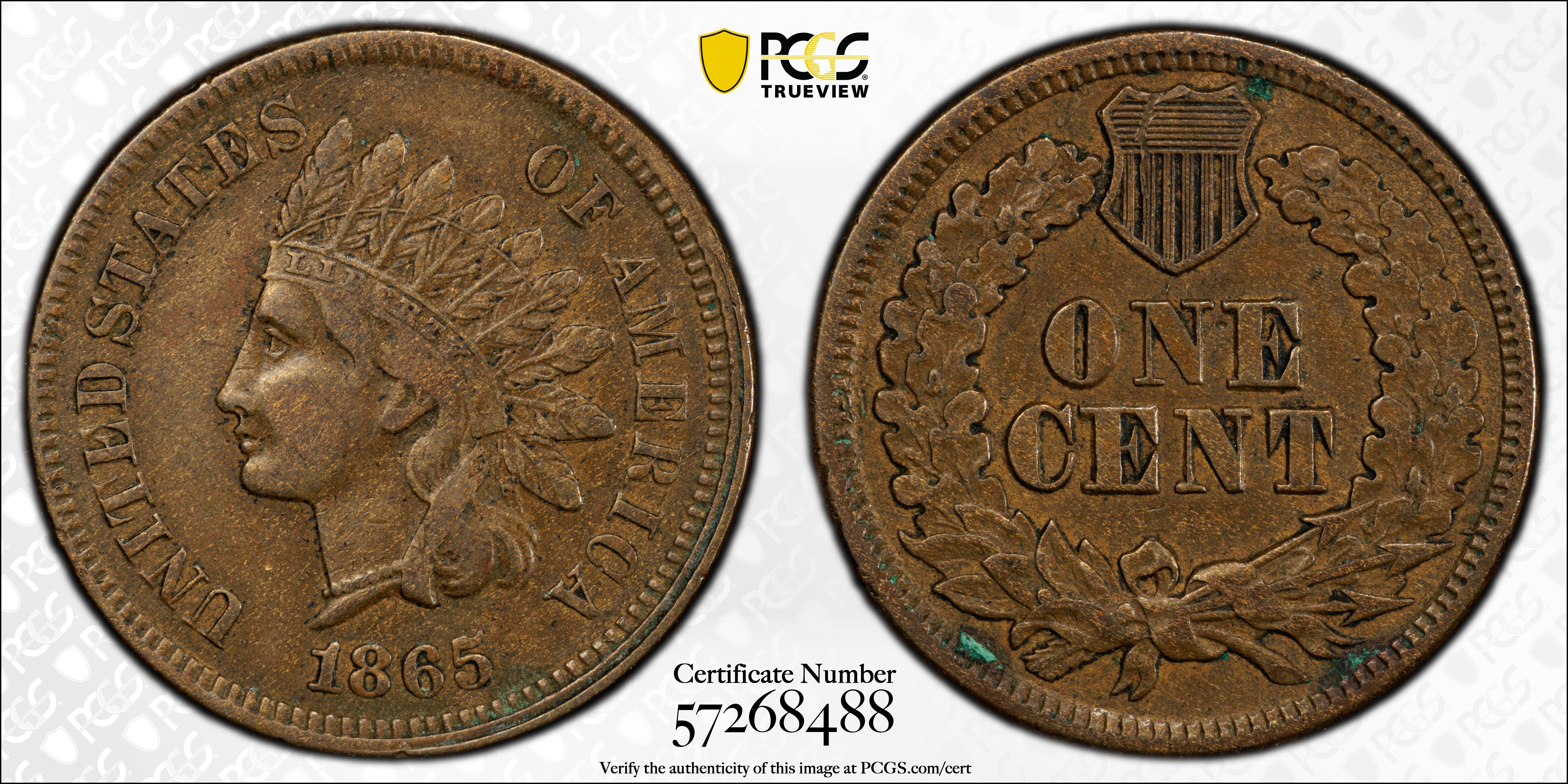1865 Indian Head Penny, Rare Die Error; Die Gouge FS-1401,S-14