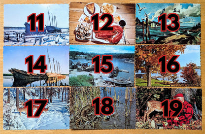 Vintage 1960s-70s Maine Tourist Scalloped Postcards - Eastern Illustrating Co. - 37 Vintage Maine Postcards To Choose From!!