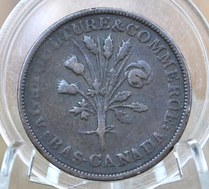 Un Sou Bas-Canada Trade and Agriculture Bank Token Montreal - F (Fine) Condition - Bank Token 1837-1838 Montreal Canadian Bank Token, Low Mintage