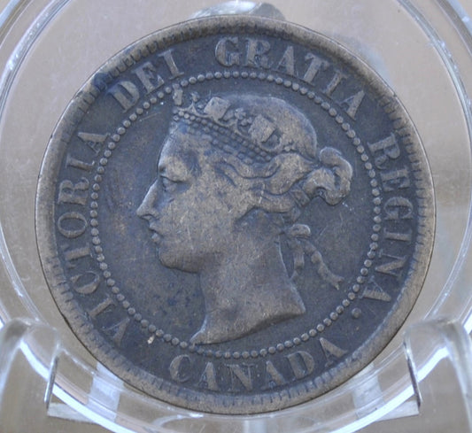 1884 Canadian One Cent - VG-F (Very Good to Fine) Grade / Condition - 1884 Penny Canada 1 Cent 1884