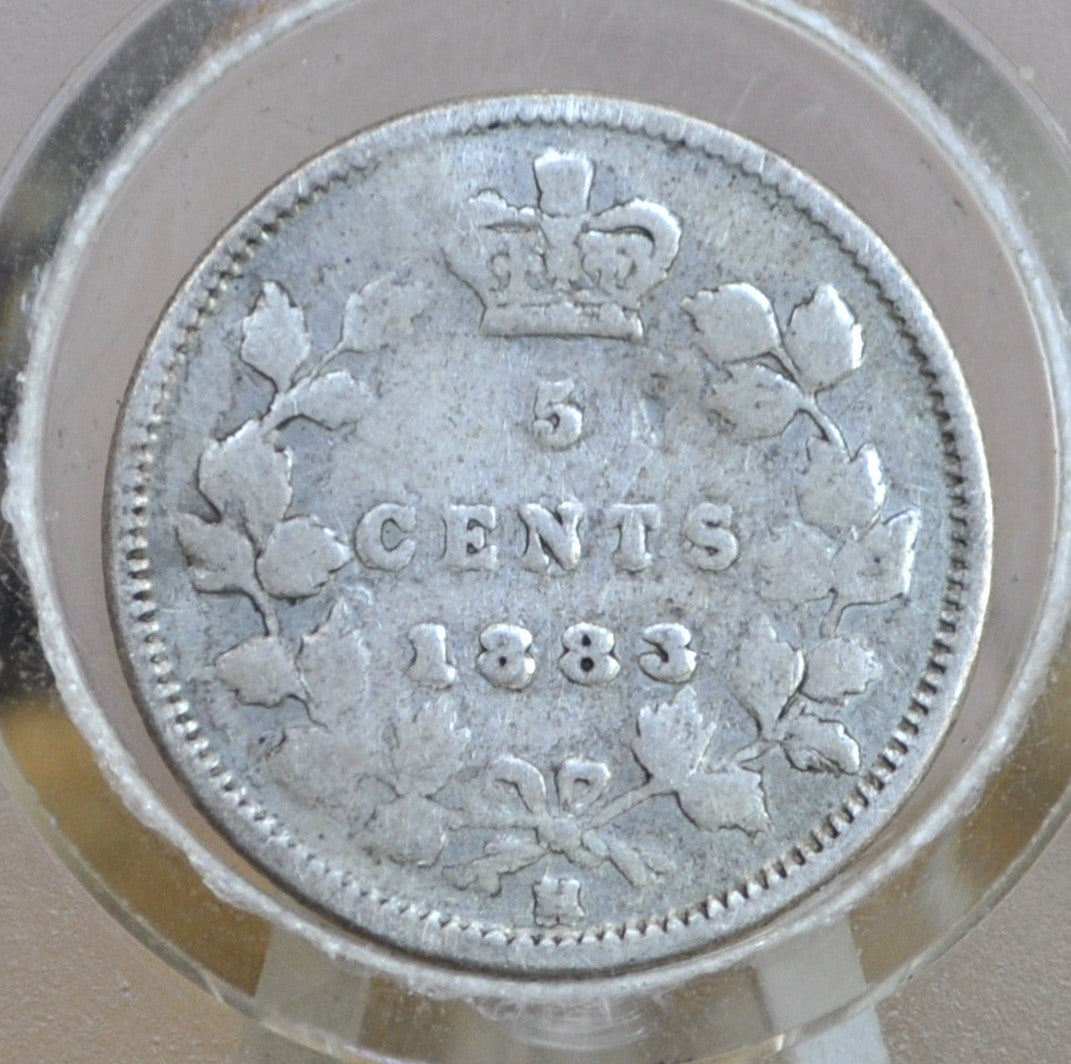 1883 Canadian Silver 5 Cent Coin - F+ (Fine Plus) - Queen Victoria - Canada 5 Cent Sterling Silver 1883 Canada