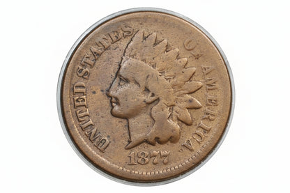 United States Indian Head penny coin from 1877 in a clear holder on a gray background