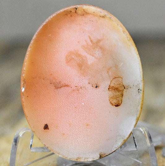 Authentic Victorian Unmounted Cameo Greek Goddess Psyche Portrait - Antique 1800s Psyche Butterfly Wings Shell Cameo