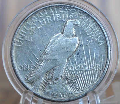 1921 Peace Silver Dollar - XF - 1921 High Relief Peace Dollar Silver - Rarer Coin