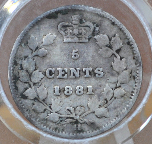 1881 Canadian Silver 5 Cent Coin - Fine Details, Obverse Damage - Canada 5 Cent Sterling Silver 1881-H Canada Coin Silver