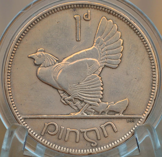 1931 Irish 1 Penny Coin - Great Condition - 1931 One Penny Coin UK - Hen with Chicks Design Irish Coins - Gaelic Writing