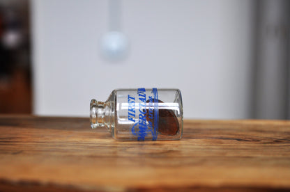 First Commercial Bank of Live Oak Penny in bottle commemorative piece - 1975 Penny in bottle - Penny in bottle from Live Oak Bank opening 2008