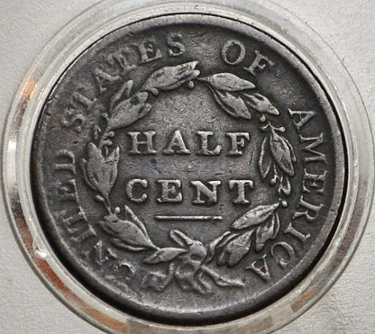 1809 Half Cent - VF Details - 1809 Classic Head Half Cent - 1809 Half Cent - Great / Affordable Coin