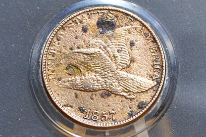 1857 Flying Eagle Penny - XF+ Detail, Cleaned - Rare Penny Type - Two years of production - 1857 Cent - Low Price Due to Cleaning
