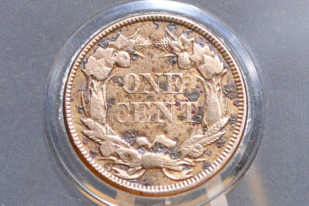 1857 Flying Eagle Penny - XF+ Detail, Cleaned - Rare Penny Type - Two years of production - 1857 Cent - Low Price Due to Cleaning