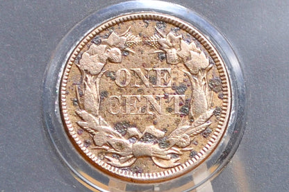 1857 Flying Eagle Penny - XF+ Detail, Cleaned - Rare Penny Type - Two years of production - 1857 Cent - Low Price Due to Cleaning