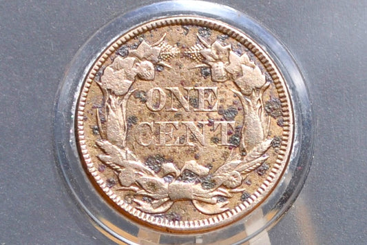 1857 Flying Eagle Penny - XF+ Detail, Cleaned - Rare Penny Type - Two years of production - 1857 Cent - Low Price Due to Cleaning