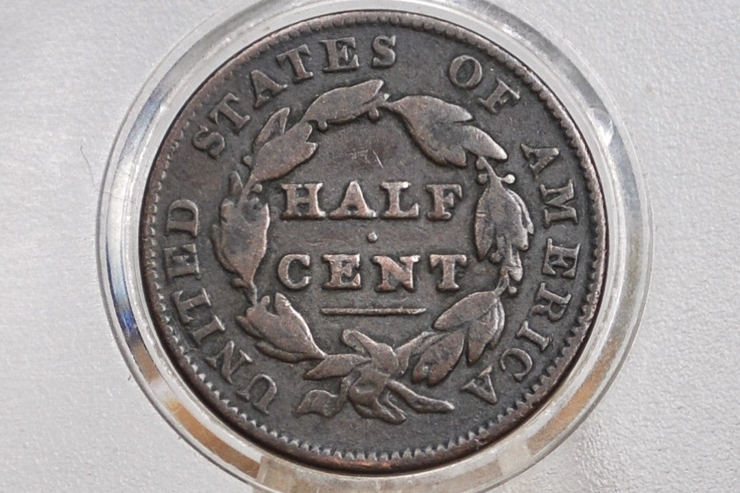 1835 Half Cent - VG+ - Classic Head Half Cent - 1835 Classic Head Cent - 1835 Half Penny