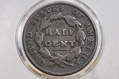 1835 Half Cent - VG+ - Classic Head Half Cent - 1835 Classic Head Cent - 1835 Half Penny