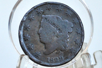 1829 Matron Head Large Cent Large Letters - VG, Rim Dents - Low Priced Coin - 1829 Coronet Liberty Head Cent