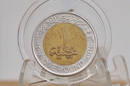 2008 Egyptian 1 Pound Coin - King Tutankhamen 1 Pound Coin - Arabic and English Coin