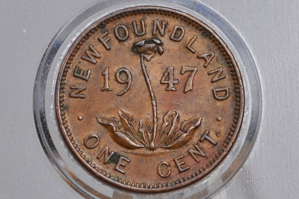 1947 Newfoundland Cent - Rare Coin, AU Grade / Condition - One Cent Newfoundland 1947 Newfoundland Small Cent