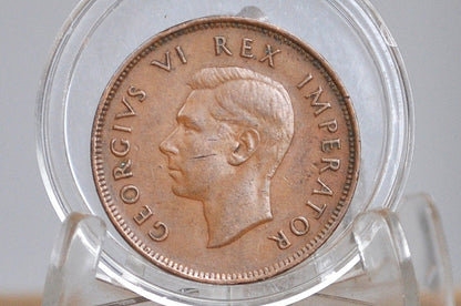 Rarer 1937 South Africa 1/2 Penny UK Issue - Very Fine Condition - 628,000 Mintage - George VI - Great Coin for a Collection -