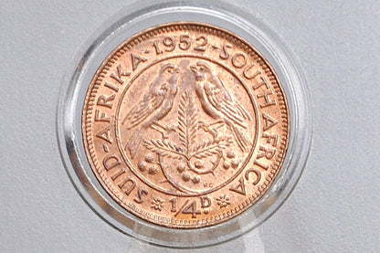 1950s South Africa 1/4 Penny UK Issue - Great Condition - Choose by Date - Great Coin for a Collection -