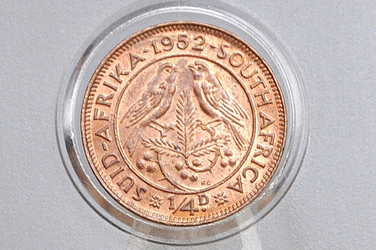 1950s South Africa 1/4 Penny UK Issue - Great Condition - Choose by Date - Great Coin for a Collection -