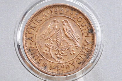 1950s South Africa 1/4 Penny UK Issue - Great Condition - Choose by Date - Great Coin for a Collection -