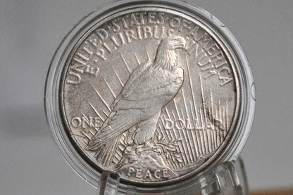 1921 Peace Silver Dollar - XF+ - 1921 High Relief Peace Dollar Silver - Rarer Coin, Nice Detail