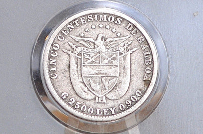 Rarer 1904 Panama 5 Centesimos  - Fine Condition - Only 1,500,000 Made 1904 Panama 5 Cent Balboa (Copy)
