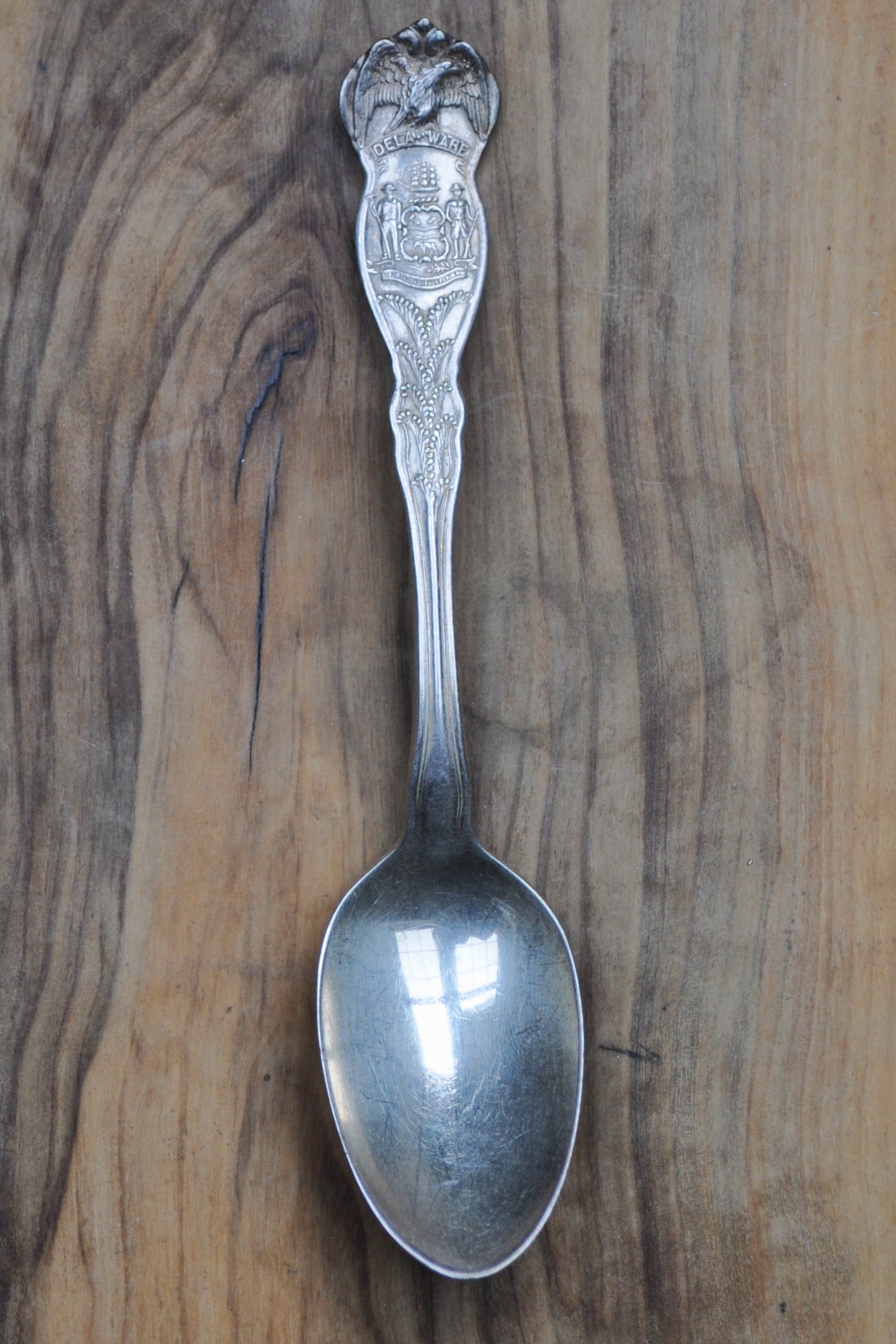 State Spoons! Large Lot of Antique Silverplated State Spoons - WM Rogers & Sons Spoons - Eagle Atop Spoon