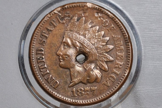 1877 Indian Head Penny - XF Details, Holed - The Key Date, Discounted for Damage, Incredible Detail - 1877 US 1 Cent