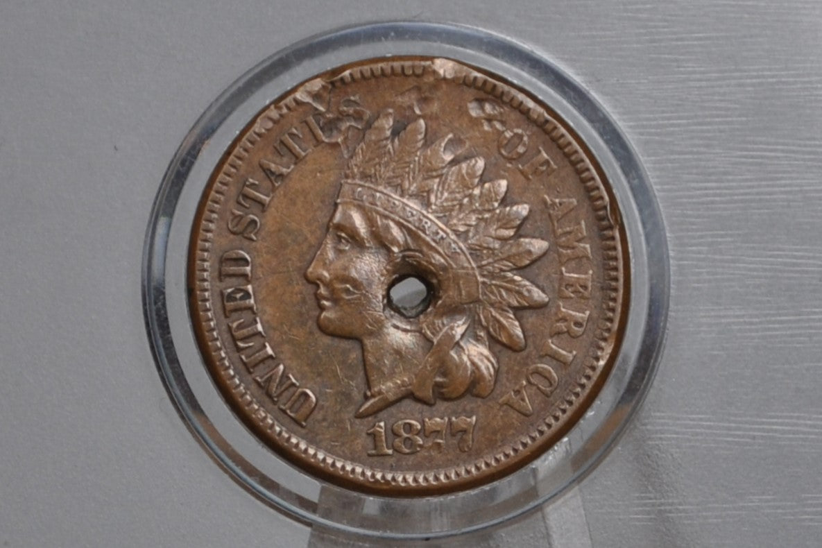 1877 Indian Head Penny - XF Details, Holed - The Key Date, Discounted for Damage, Incredible Detail - 1877 US 1 Cent