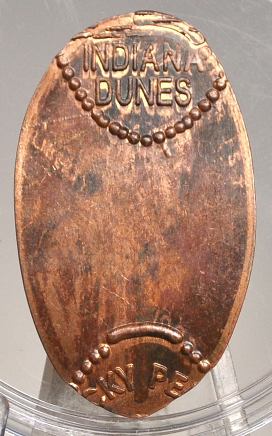 Elongated Error Lucky Penny Indiana Dunes - Indiana Dunes Lucky Penny Elongated Error - Error Elongated Penny - Lucky Penny Error