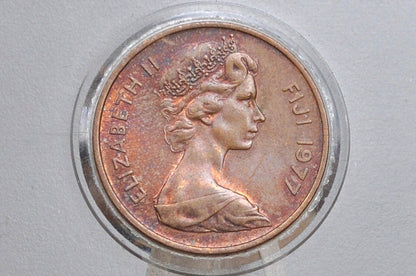 Fiji 2 Cent Coins - UK Issue Fiji Coins -  60s, 70s, 80s - Choose by Date - Coins from Fiji - Palm Fan Reverse -