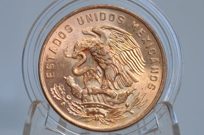 Mexican 20 Centavos - Choose by Date! - Great Condition, Check Options for Special Conditions - Mexican Republic Coins -