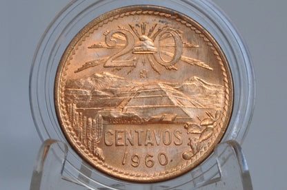 Mexican 20 Centavos - Choose by Date! - Great Condition, Check Options for Special Conditions - Mexican Republic Coins -