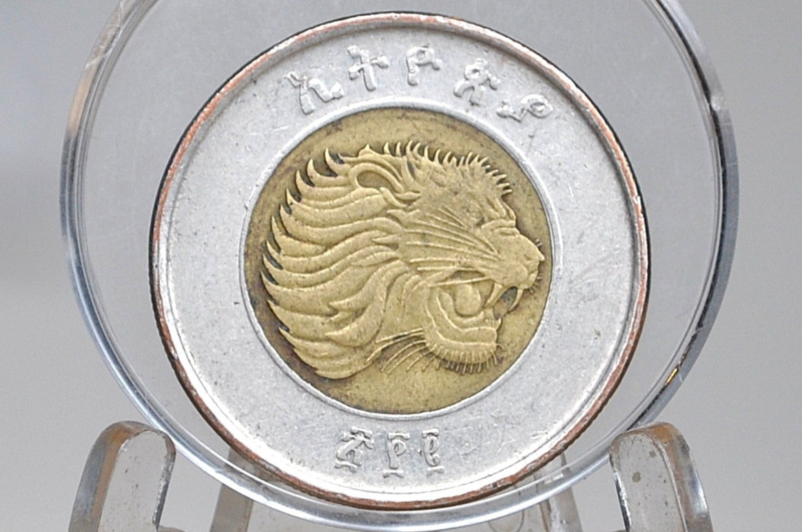 2010 Ethiopia Africa 1 Birr Coin - Great Condition - Sick Lion Animal Obverse - East African Coins -