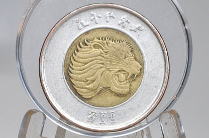 2010 Ethiopia Africa 1 Birr Coin - Great Condition - Sick Lion Animal Obverse - East African Coins -
