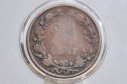 1884 Netherlands 2 1/2 Cent Coin - Great Condition - William III - Old Netherlands Coins -