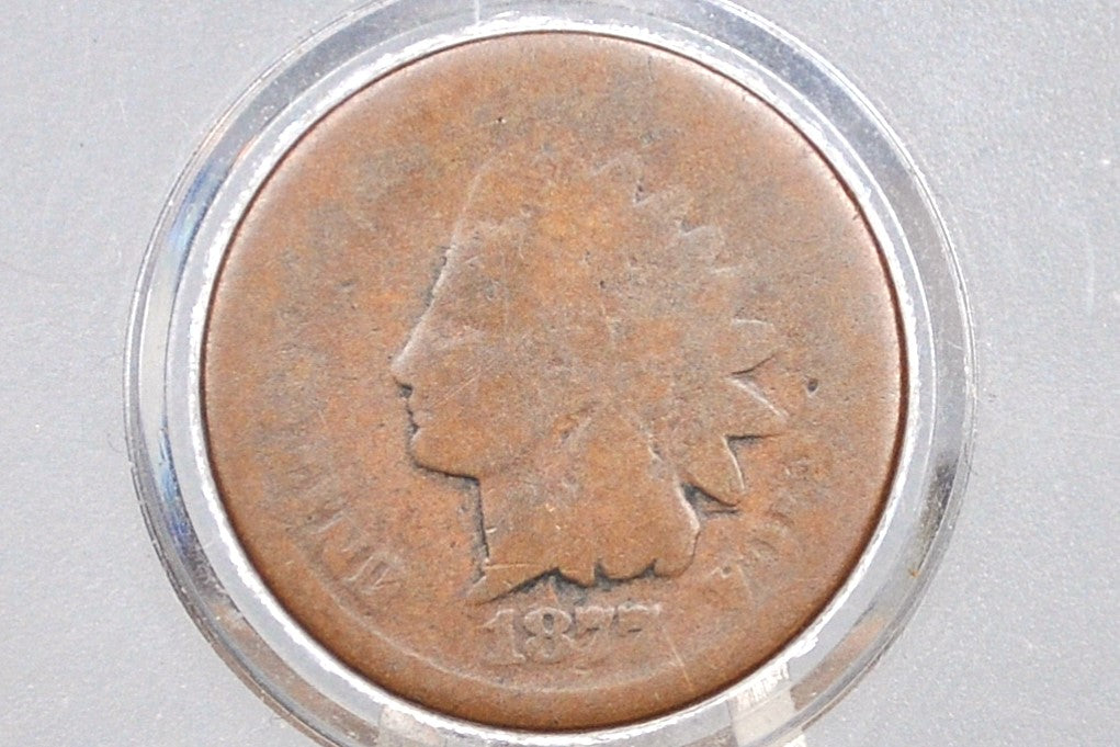 1877 Indian Head Penny - AG - The Key Date - 1877 US 1 Cent
