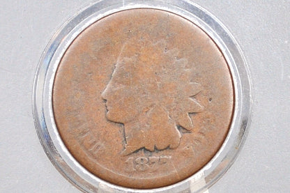 1877 Indian Head Penny - AG - The Key Date - 1877 US 1 Cent