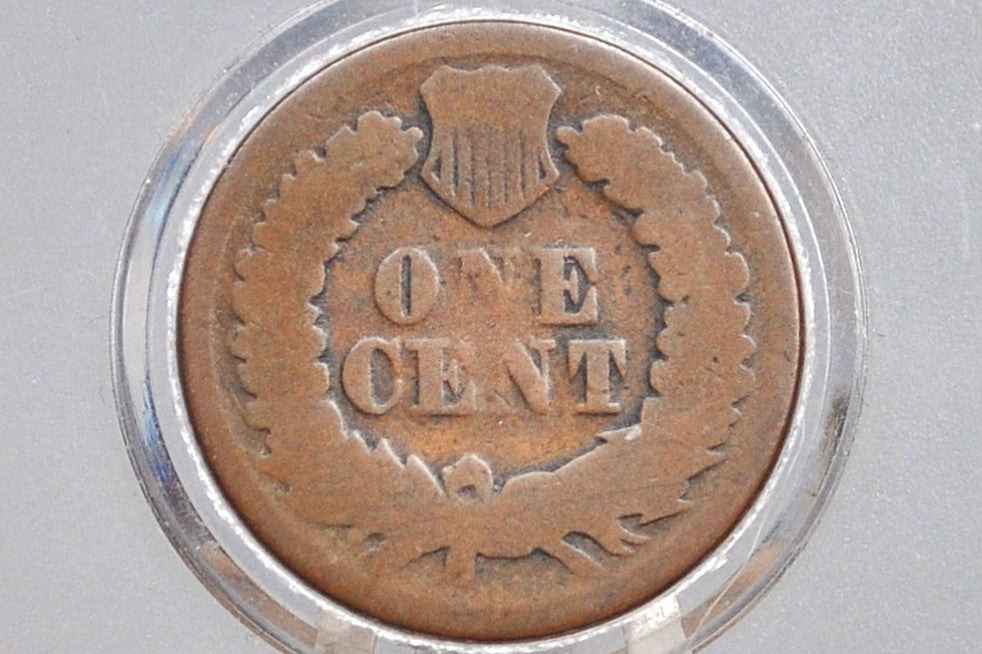 1877 Indian Head Penny - AG - The Key Date - 1877 US 1 Cent