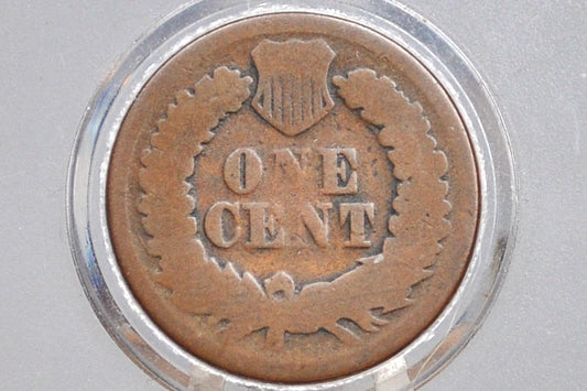 1877 Indian Head Penny - AG - The Key Date - 1877 US 1 Cent