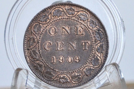 1909 Canadian Cent - Choose by Grade / Condition - Edward VII - One Cent Canada 1909 Large Cent - 1909 Canadian Penny