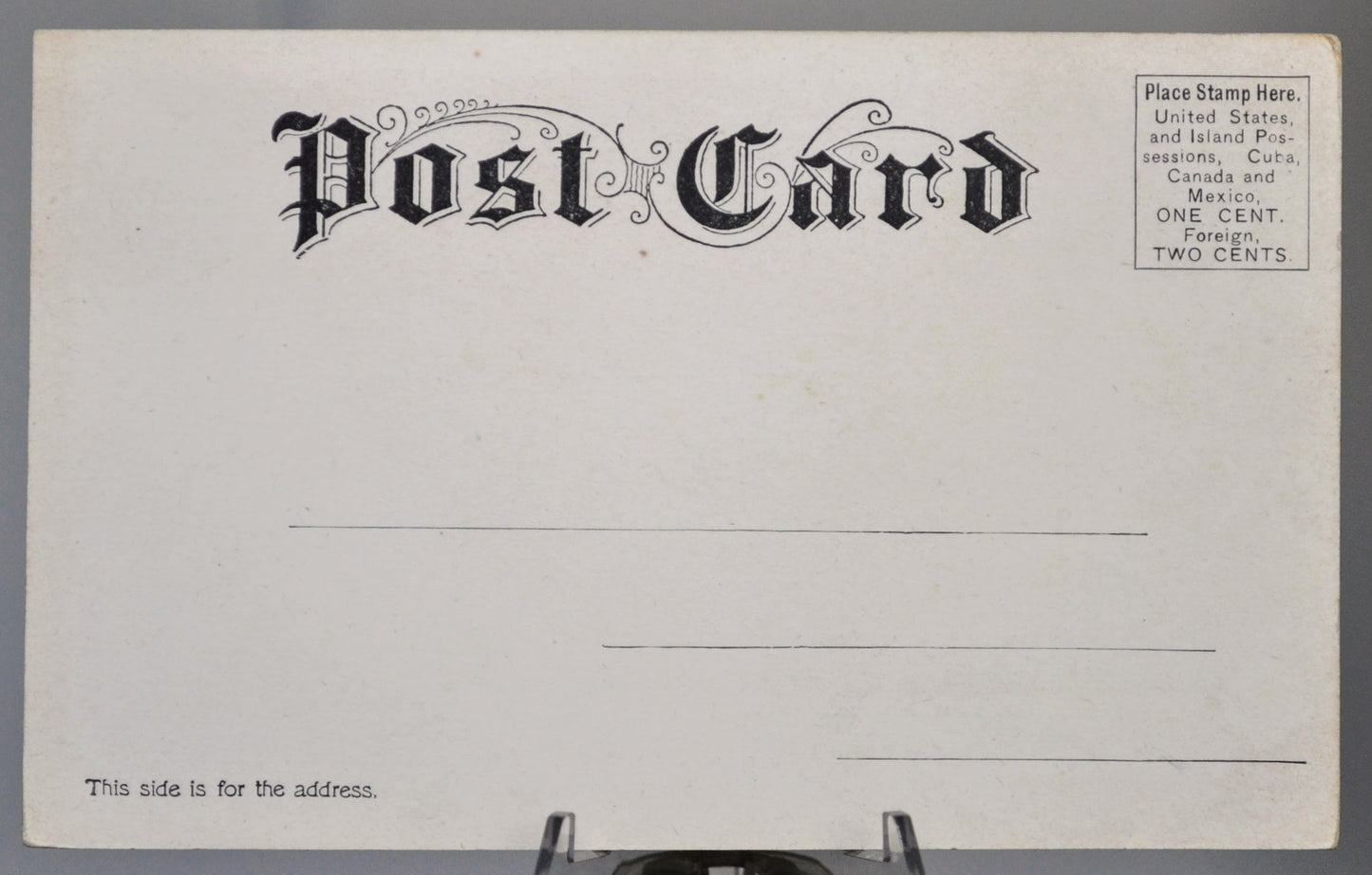 1900s Lake Winnipesaukee Bear Island NH Postcard - Souvenir of Lake Winnipesaukee - Vintage New Hampshire Lakes Region Postcard