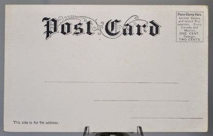 1900s Lake Winnipesaukee Bear Island NH Postcard - Souvenir of Lake Winnipesaukee - Vintage New Hampshire Lakes Region Postcard