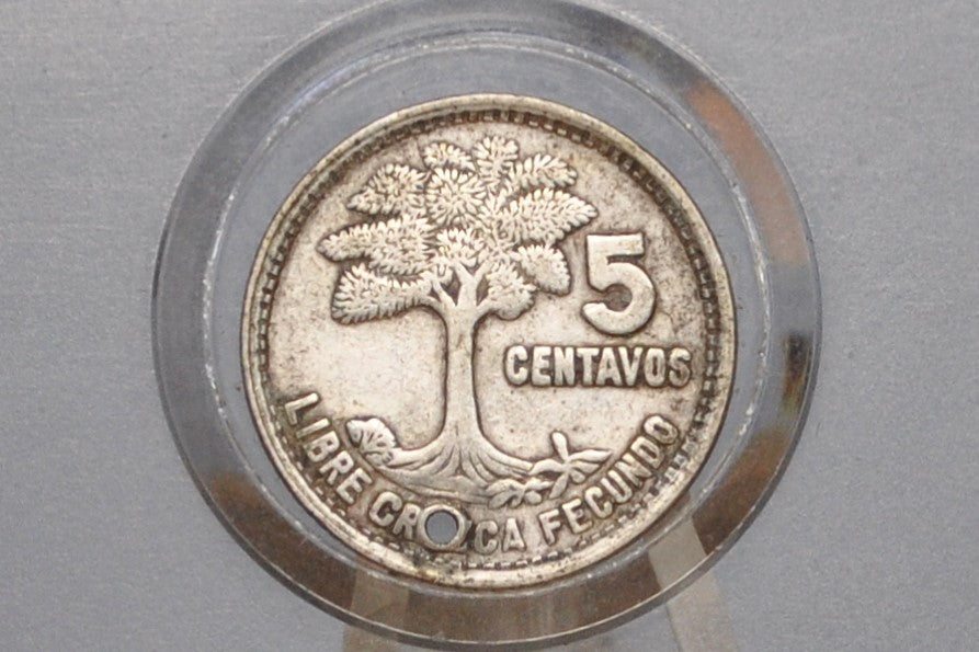 Rarer 1955 Silver Guatemala 5 Centavos - Great Condition, Holed - Republic of Guatemala Coin - Guatemala Quetzal